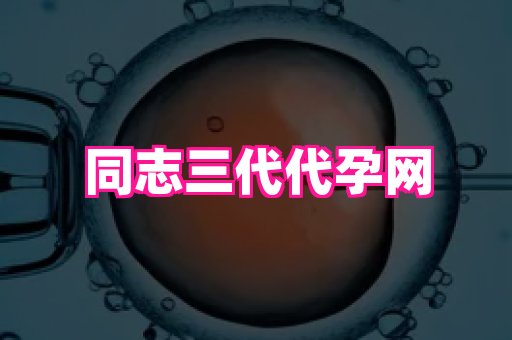 权威助孕网 1