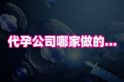 权威助孕网 2
