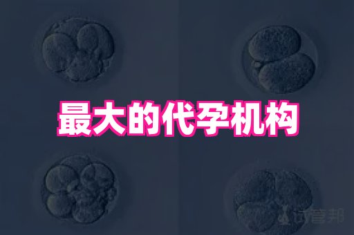权威助孕网 3